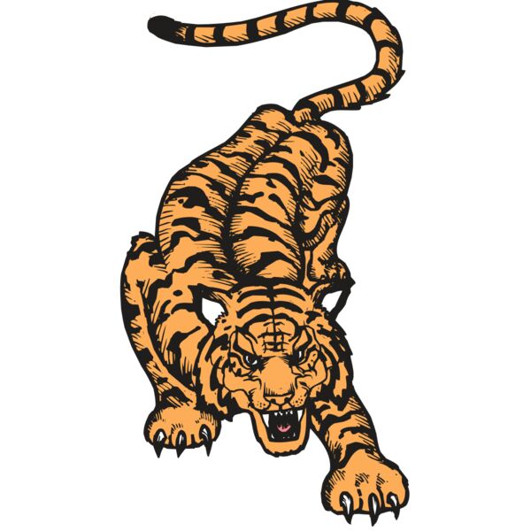 BAW TIGER 01 RC Thumbnail