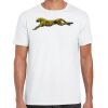 Mens Softstyle Tee Shirt Thumbnail