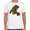 Mens Softstyle Tee Shirt Thumbnail
