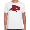 Mens Softstyle Tee Shirt Thumbnail