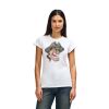 Womens Softstyle Cotton Tee Thumbnail